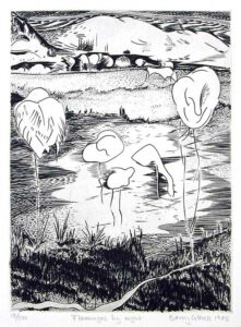 Barry Cottrell, United KIngdom, Flamingos By Night, 1985, burin engraving on copper, 16,8 x 12 cm